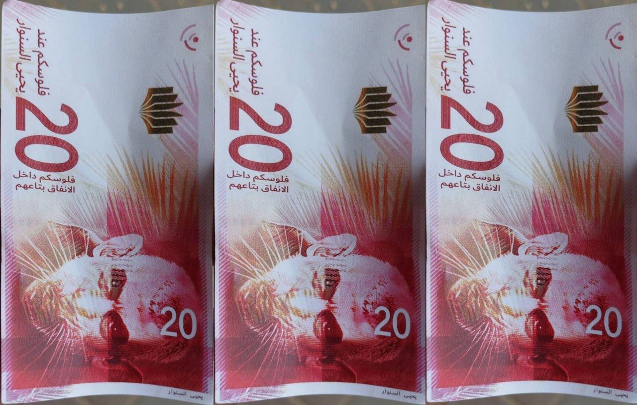 Израильская Правда. ЦАХАЛ сбросил в Дир аль-Балахе фальшивые 20-шекелевые купюры