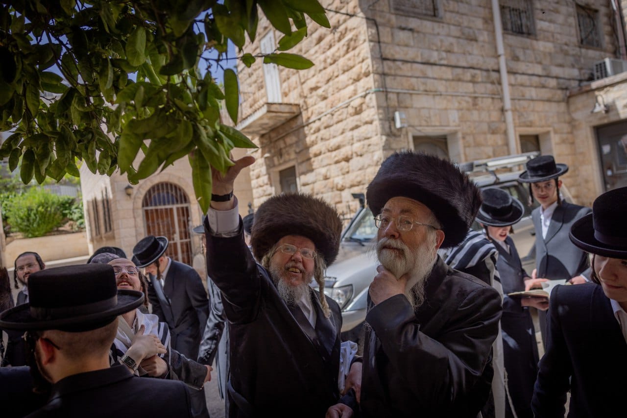 Израильская Правда. Глава иешивы «Торат Адонай», раввин Бен-Цион Готфарб, присутствовал сегодня на ежегодном «Благословении деревьев».
