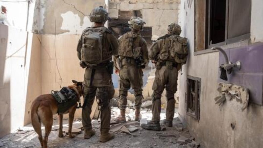 Израильская Правда. контрабанда из Египта в Газу полностью прекращена