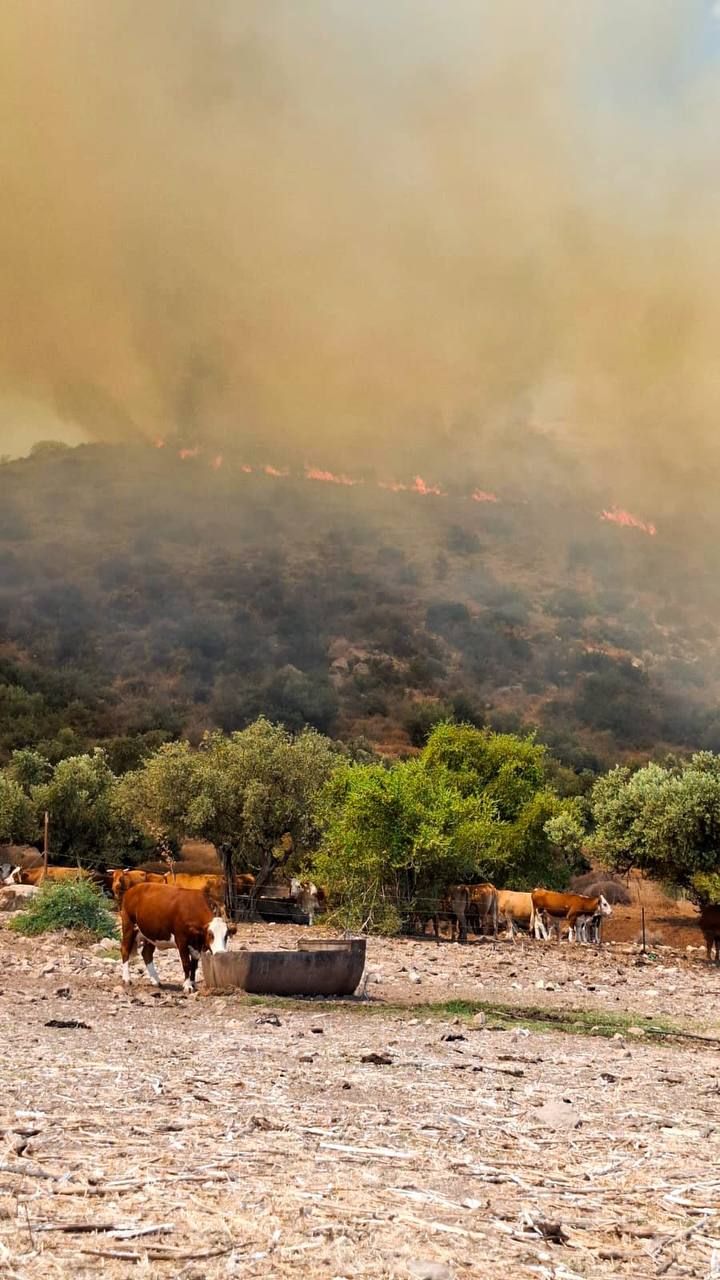 Израильская Правда. Пожар в Национальном парке и заповеднике Арбель
