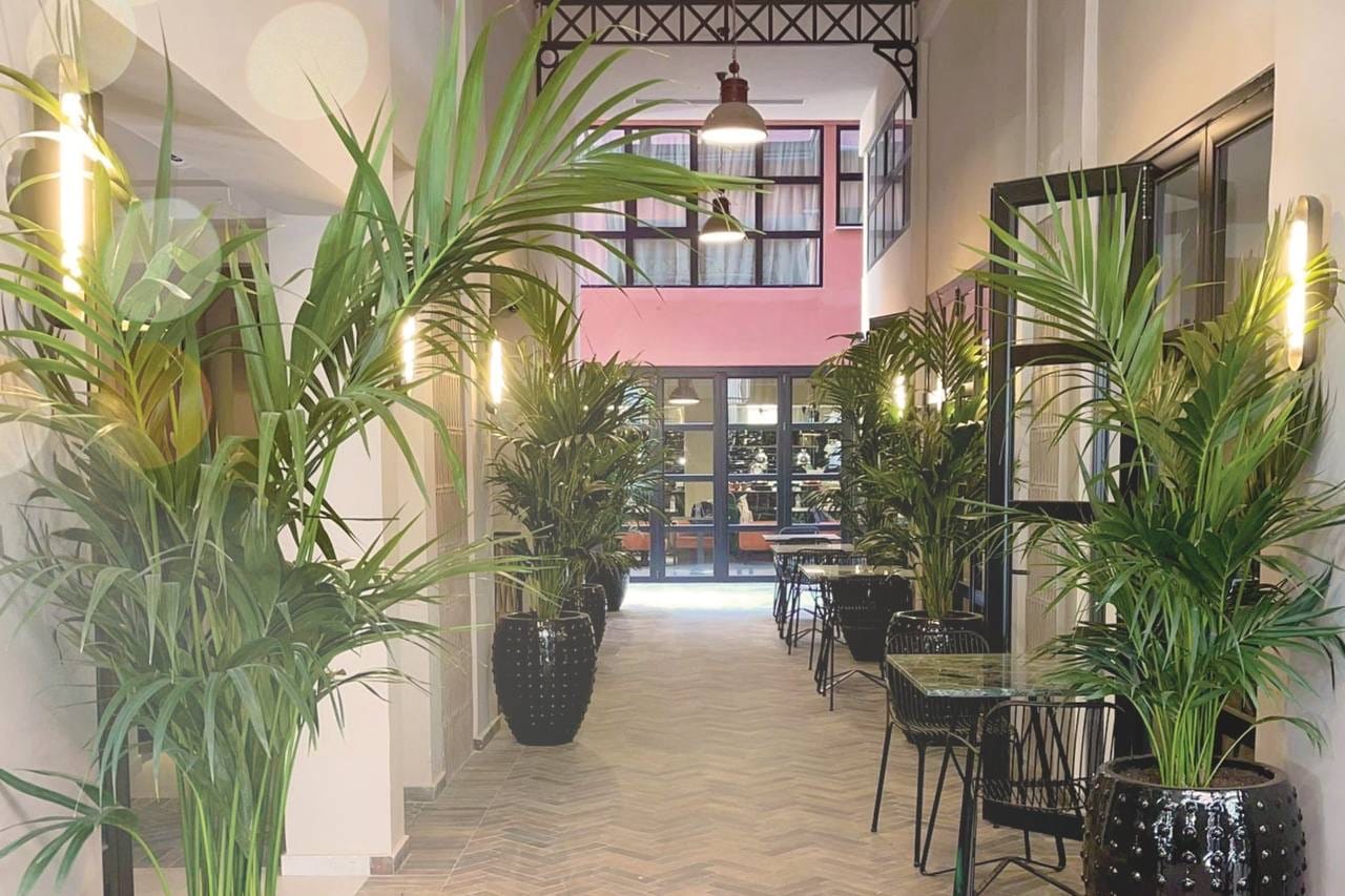 Израильская Правда — ALUMA HOTELS от Isrotel открывает в греческой столице вторую гостиницу