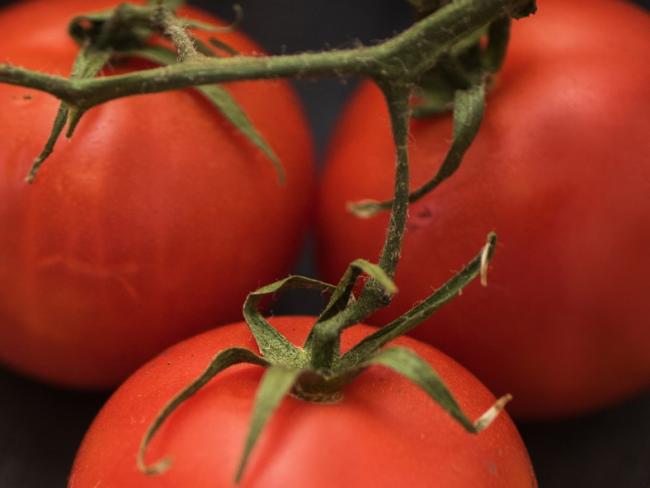 Израильские ученые отвечают на вопросы: почему дорожают помидоры, и что можно с этим делать