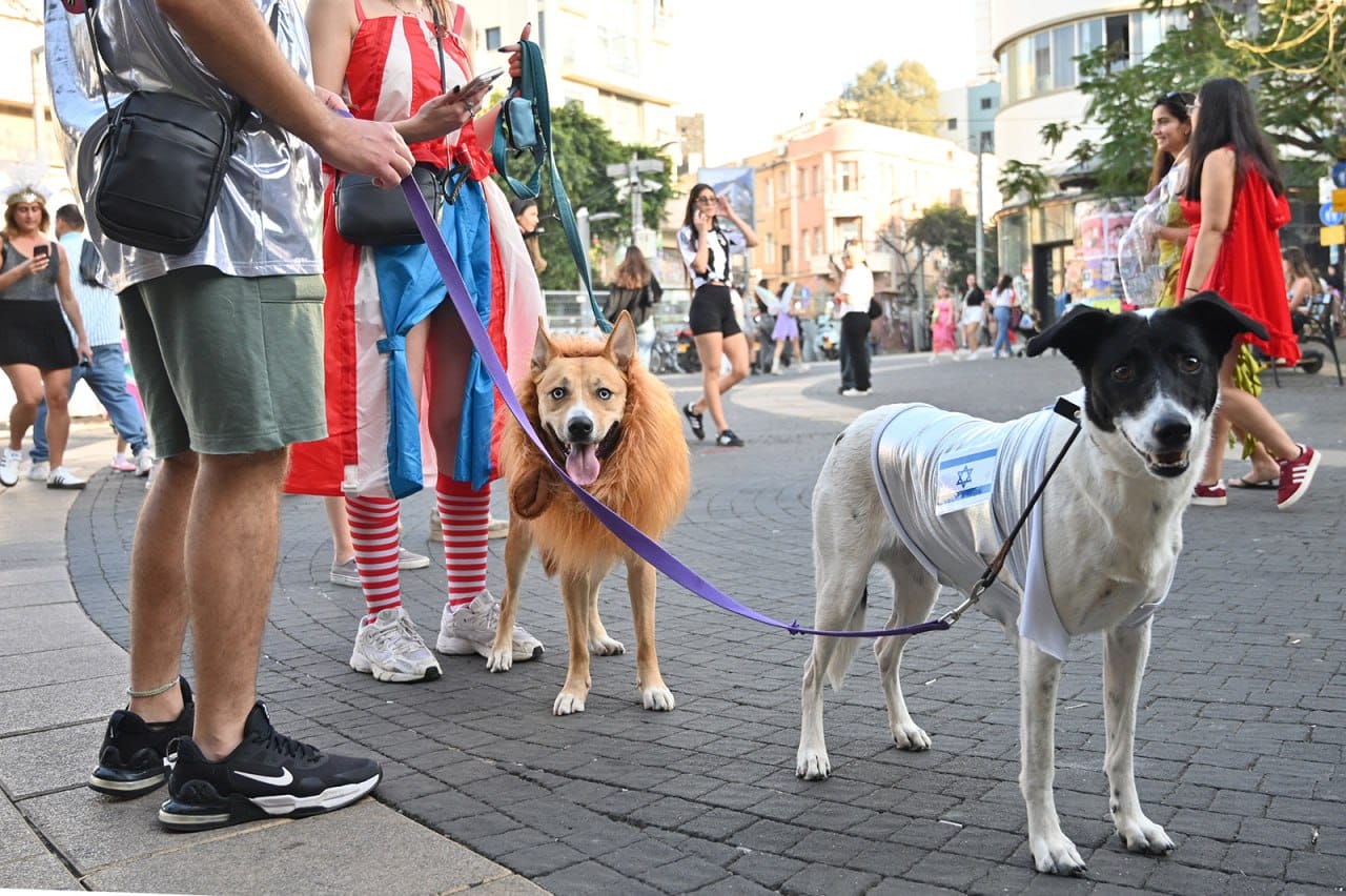 Пурим в Тель-Авиве