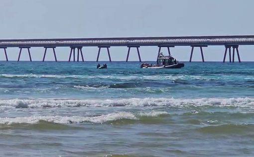 Пляжи Наурим, Махморет и Бейт-Янай закрыты из-за нападения акулы
