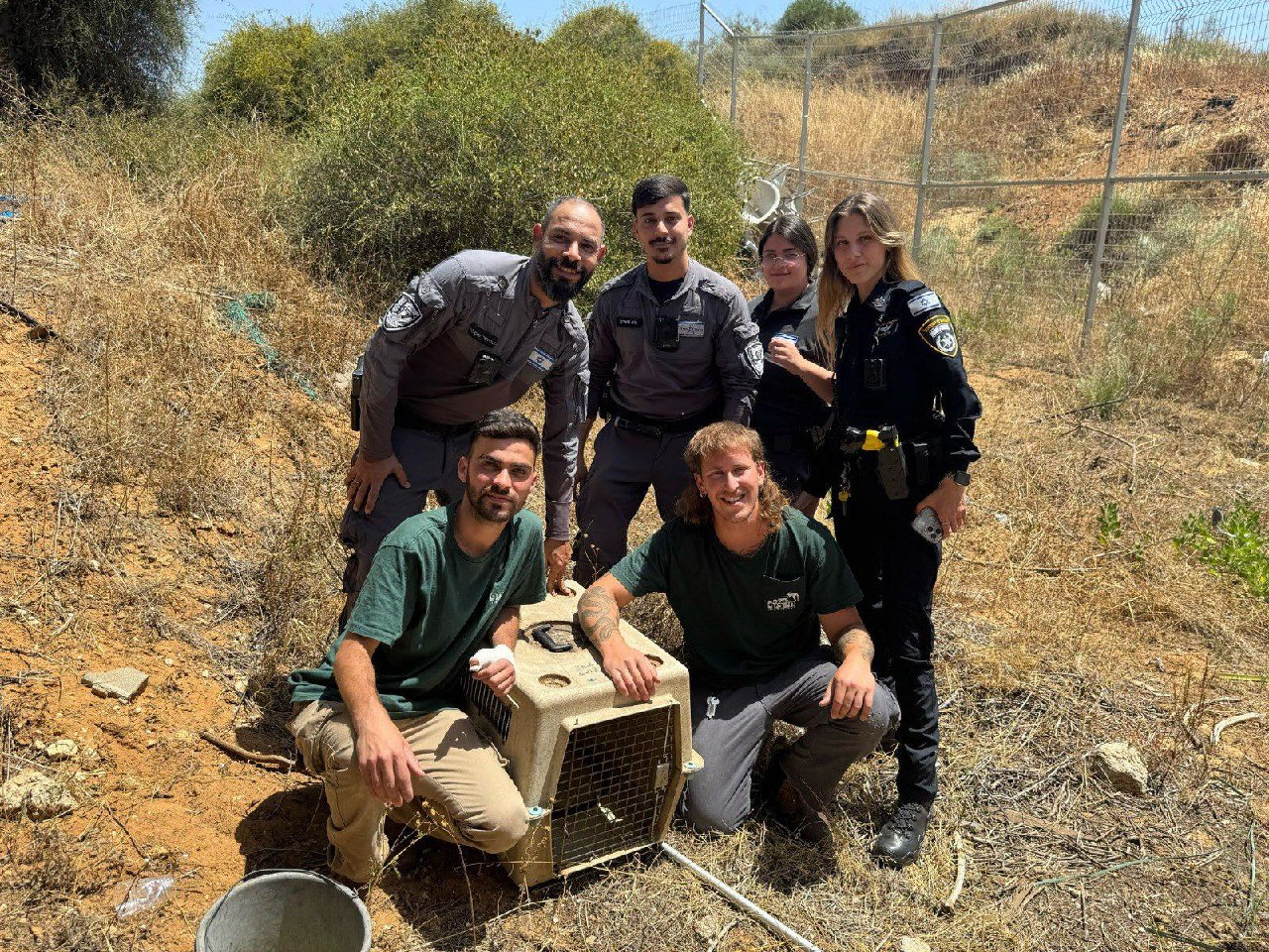 Управление природы и парков Израиля спасло еще трех мартышек