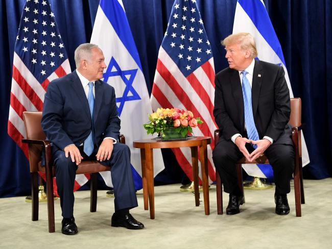 Академия иврита назвала одну из бабочек в память о 5-летнем Ариэле Бибасе